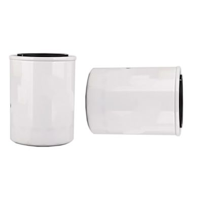 1000395855 WB202G ハイドウェルのディーゼルエンジンのオイルフィルター