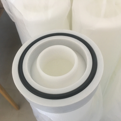 0.1 食品産業用フィルタリング用ミクロンPES膜プレート液体フィルターカートリッジ