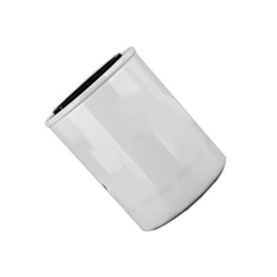 1000395855 WB202G ハイドウェルのディーゼルエンジンのオイルフィルター